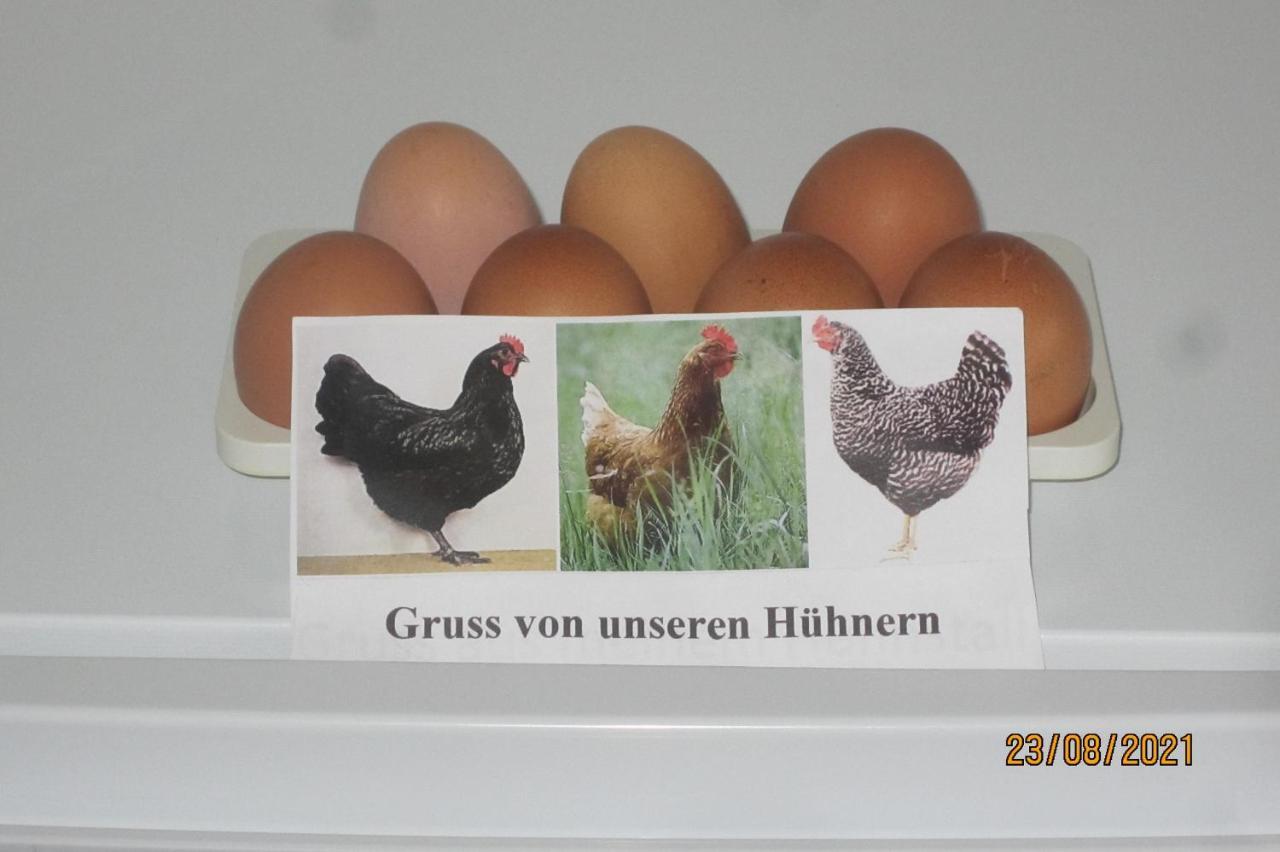 Ferienwohnung Landsknecht Volkach Bagian luar foto